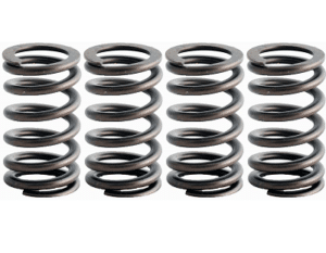 98-18 5.9L/6.7L Dodge Ram Cummins Valve Springs