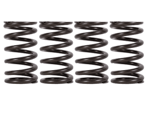 01-16 6.6L Duramax Valve Springs